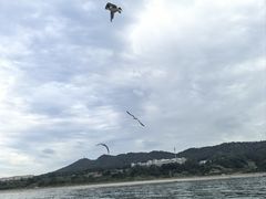 -长岛南北长山旅游景区