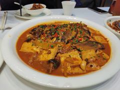 乾隆鱼头烧豆腐-乾隆美食·本帮菜(黄河路店)