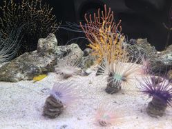 点击看大图 -Zoolung Zoolung动物主题公园(海信广场店)