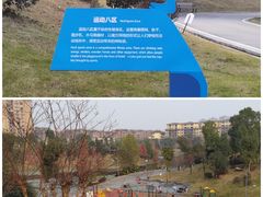 -东岳体育公园