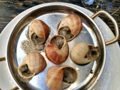 -金蜗牛