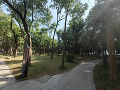 -深圳湾公园(南山区)