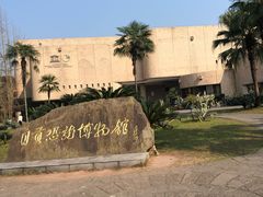 -自贡恐龙博物馆