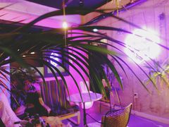 -Cafe Rooftop Cheongsapo