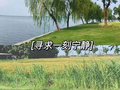-莲花岛景区