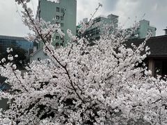 -杭州市第一人民医院(湖滨院区)