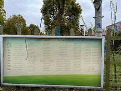 -上海长兴岛郊野公园