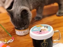 -猫小院猫主题餐厅(三里屯店)