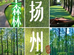 -渌洋湖湿地公园