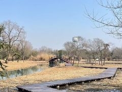 -西溪国家湿地公园