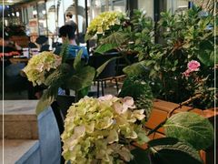 -COSTA COFFEE(成都来福士店)