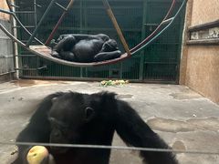 -石家庄市动物园