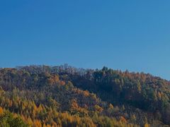 -天女山森林公园