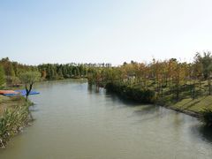 -上海长兴岛郊野公园