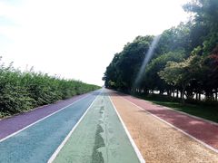 -贡湖湾湿地公园