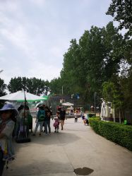 -上美四季动物农场