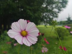 -汇泉广场