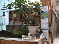 -可蒙动物医院·猫科·骨科中心(首义路店)