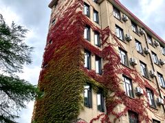-上海财经大学(国定路校区)