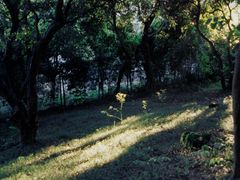 -燕晗山郊野公园