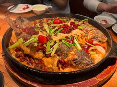 -老板恋上鱼(振华商厦店)