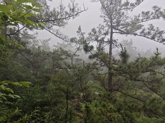 -崂山巨峰游览区