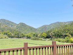 -天台山景区
