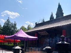 -大槐树寻根祭祖园