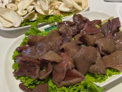 -爱膳菌锅锅(阳南店)
