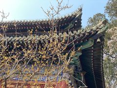 -潭柘寺景区