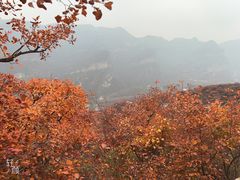 -周口店坡峰岭风景区