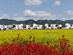-东梓关景区村庄