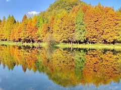 -贵阳市花溪国家城市湿地公园