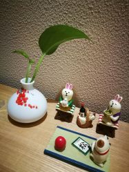 -一本X目奈子日式单根美睫专业店