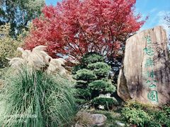 -昆山城市生态森林公园