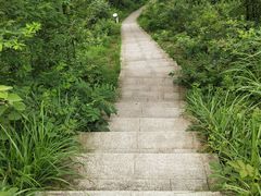 -桃花岭景区