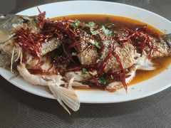 -微山岛春天里酒家