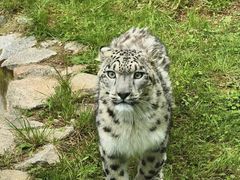 -青藏高原野生动物园