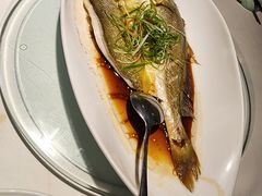 -羲和雅苑•北京烤鸭(陆家嘴中心店)