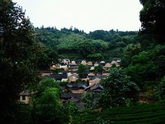 -杨家堂村