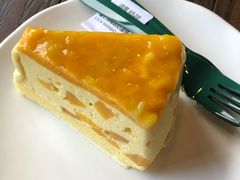 -星巴克(舟山蜈蚣峙店)