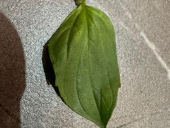 -官塘陈记鱼生·潮汕砂锅粥·牛肉火锅(潮枫路总店)