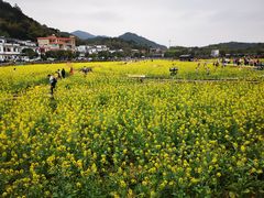 -红山村
