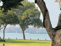 -杭州西湖柳莺里酒店·闻莺厅