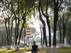 -重庆市江北嘴中央商务区中央公园