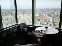 -大堂酒廊·富力丽思卡尔顿酒店