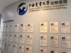 -中国农业大学动物医院