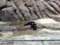 -泉州海丝野生动物世界