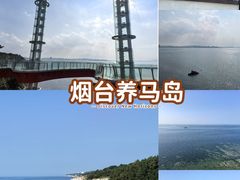 -养马岛旅游度假区