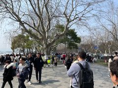 -西湖游船